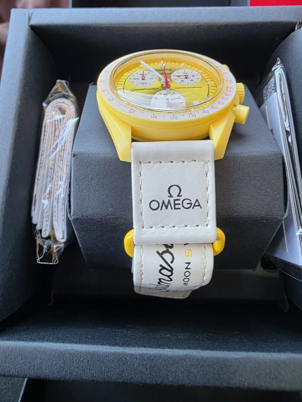 Swatch x Omega Bioceramic MoonSwatch 